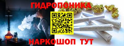 хмурый Дубна