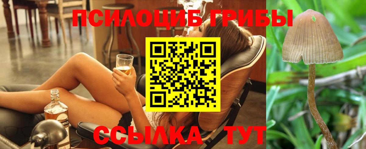 Псилоцибиновые грибы мухоморы  Вход с VPN  Златоуст  Галлюциногенные грибы Cubensis 